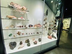 -墨尔本博物馆(Melbourne Museum)