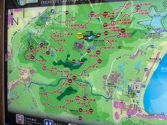 -石排湾郊野公园