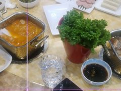 -清真军邺·金富苑肥牛(石坡街旗舰店)