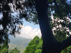 -鼓岭旅游度假区