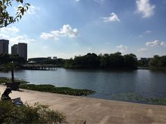 -新江湾城公园