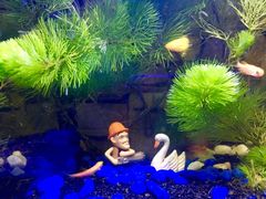 -三旗百汇商品城