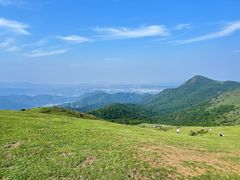 -大姆山草场
