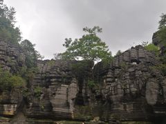 -梭布垭石林景区