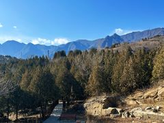 -白水寺森林公园