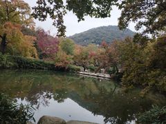 -白马涧龙池景区