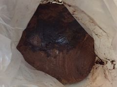 -卡滋贝诺动物奶油生日蛋糕(亚太潮尚店)