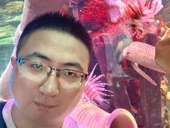 -沈阳海洋探索中心