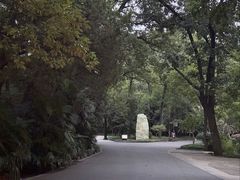 -灵谷景区