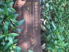 -鼓浪屿内厝澳码头(轮渡站)