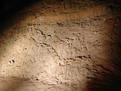 -世界恐龙谷景区