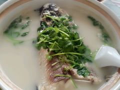 android_upload_pic-横山鱼头馆(张横路店)