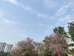 -东山湖公园