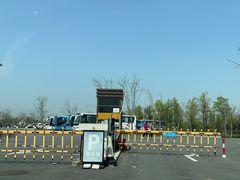 -上海滨江森林公园