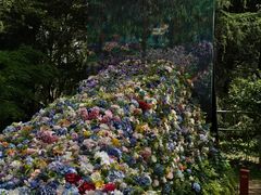 -共青国家森林公园-售票处