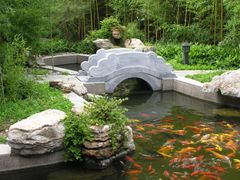 -老船坞水上餐厅(亚洲大酒店  东四十条店)