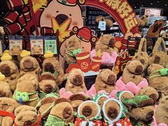 -酷乐潮玩(颛桥万达店)