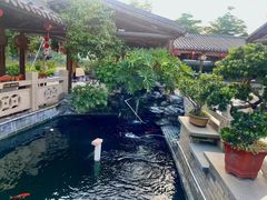 -顺德了能馆(虎门店)