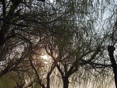 -云龙湖旅游景区