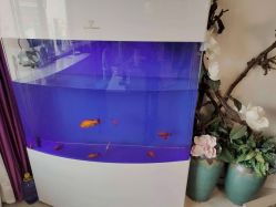 -S&G Beauty轻奢皮肤管理中心