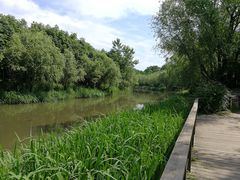 -新江湾城公园