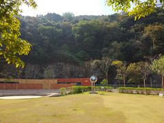 -香港大学