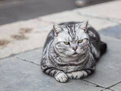 -龙华寺