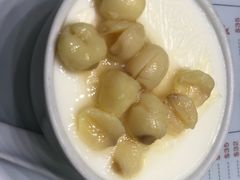 -义顺牛奶公司(新马路老店)