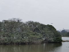 -海珠湖公园