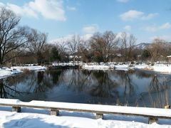 -紫霞湖公园