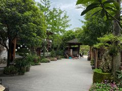 -青城甲(青城山店)