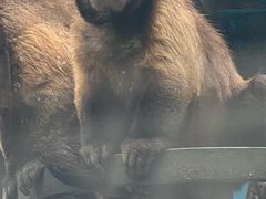 -秦皇岛野生动物园