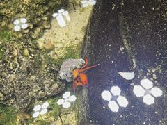 -嘉兴海底世界