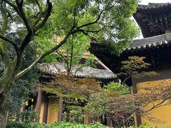 -慧因高丽寺