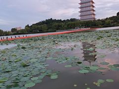 -西安世博园