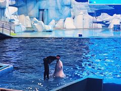 -福州罗源湾海洋世界旅游区