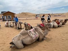 -银肯塔拉沙漠生态旅游景区