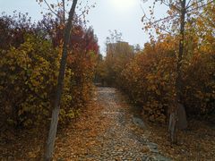 -天津工业大学西苑餐厅