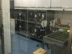 -伟伟宠物医院·CT影像中心·瑞派犬猫综合性门诊(汉口总院)