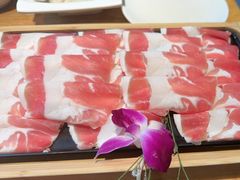 -草原塞蛮羊火锅城(港湾店)