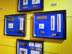 -上海昆虫博物馆