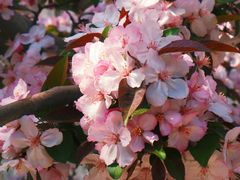 -元大都城垣遗址公园