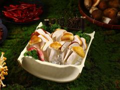 -季季山·云南野生菌火锅(上海首店)