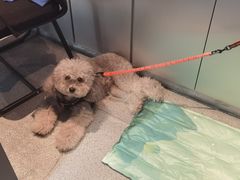 -E+有冰工厂·昆仑寒宫2(五角场店)