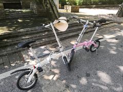 -广州市流溪河国家森林公园