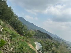 -缙云山景区