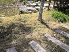 -济南国际园博园