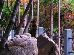 -崂山巨峰游览区