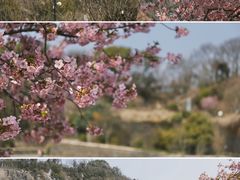 -上海辰山植物园