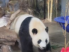 -海南热带野生动植物园